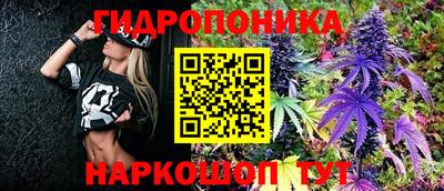 прущие крисы Будённовск